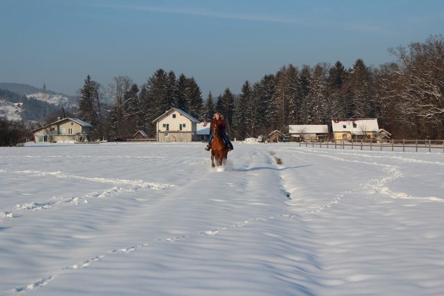 Zimsko rajanje feb. 2015 - foto