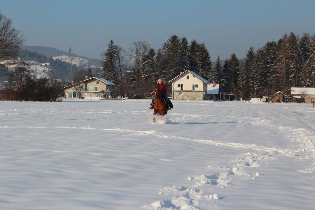 Zimsko rajanje feb. 2015 - foto