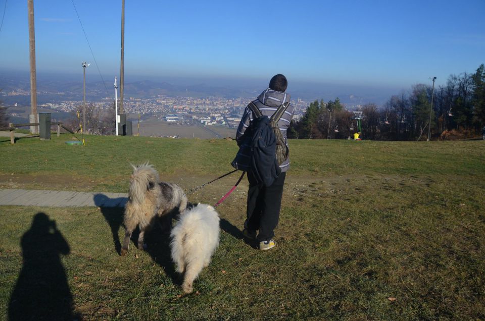 Pohorje - foto povečava