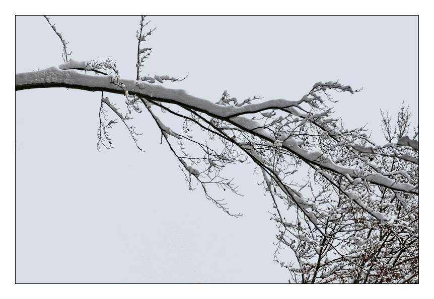 Zima, zima bela (škofljica) - foto povečava
