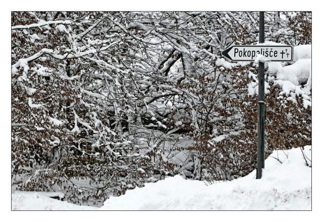 Zima, zima bela (škofljica) - foto