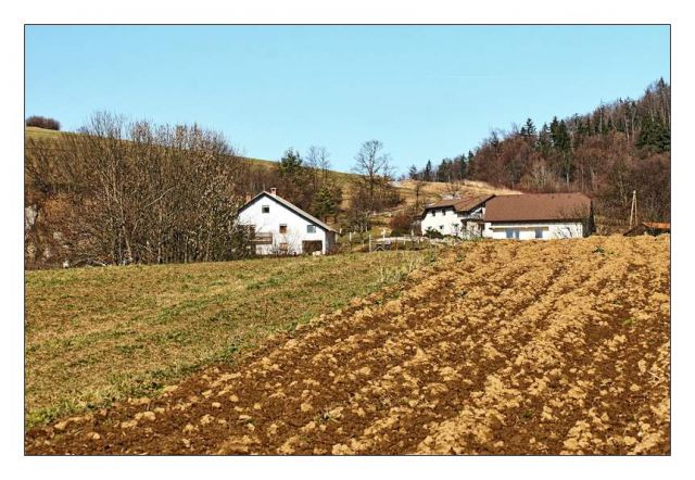 škofljica - foto