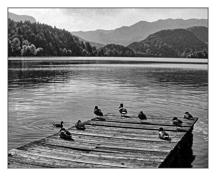 Bled - foto povečava