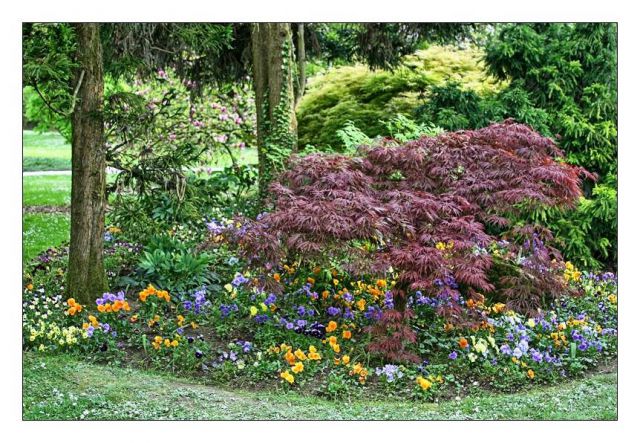 Minimundus, arboretum volčji potok - foto