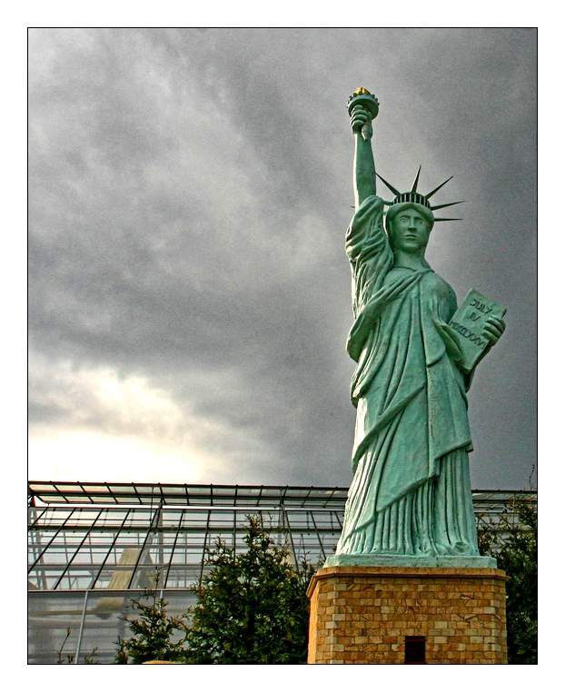 kip svobode-new york-zda