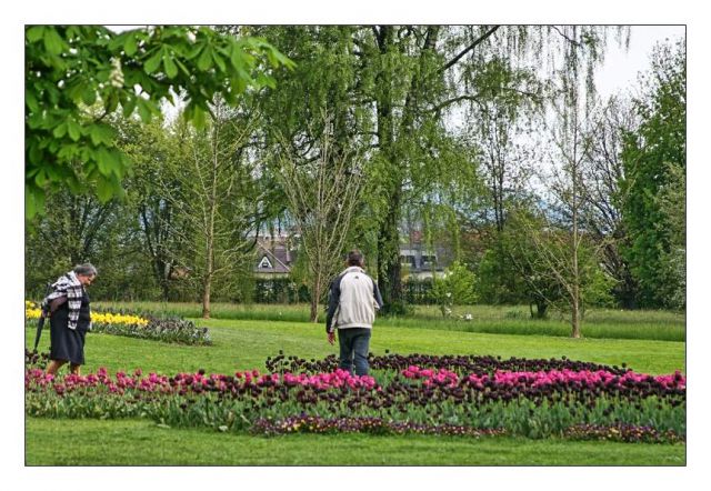 Minimundus, arboretum volčji potok - foto