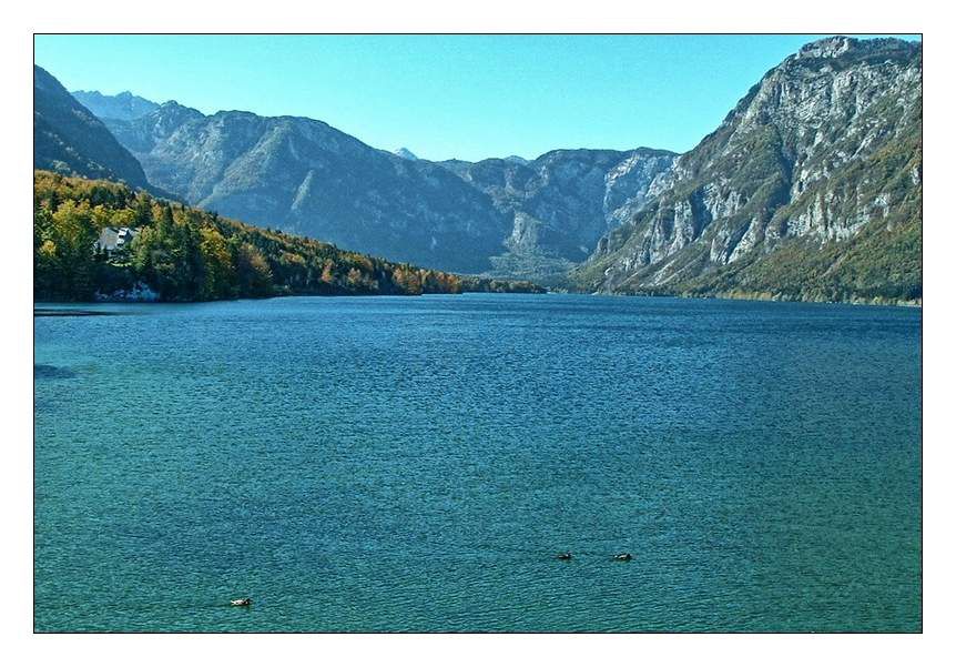 Bohinj - foto povečava