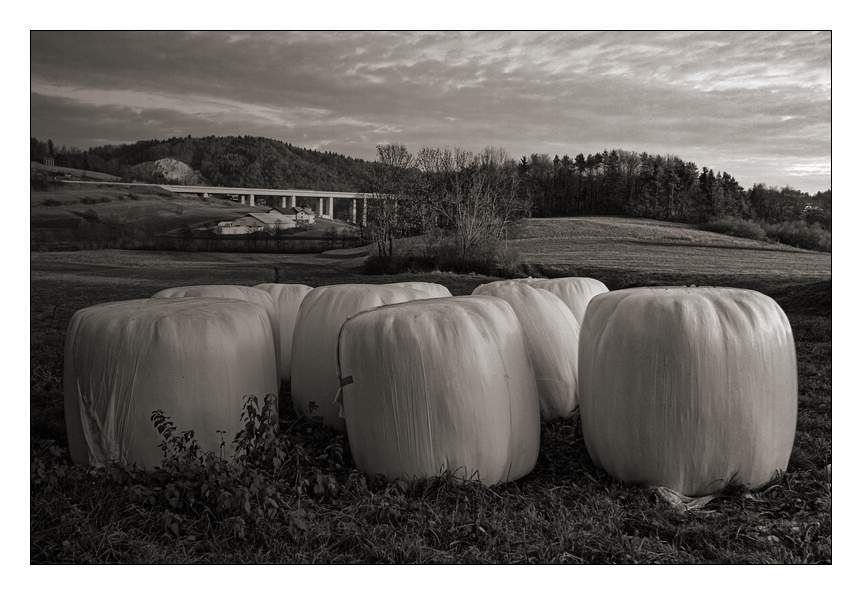 Na podeželju (škofljica) - foto povečava