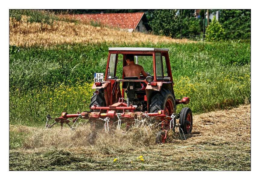 Na podeželju (škofljica) - foto povečava