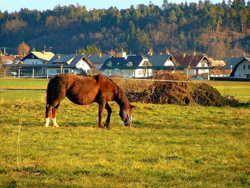 Gorenjski kozolci - foto povečava