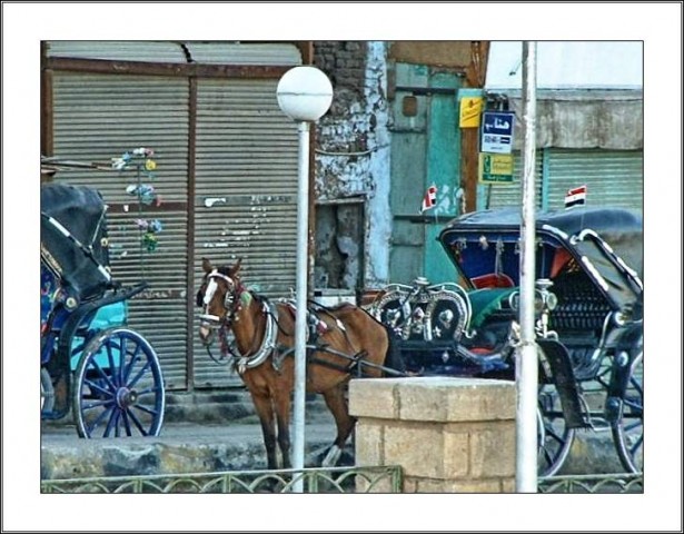 4/9. egipt - križarjenje po nilu - foto