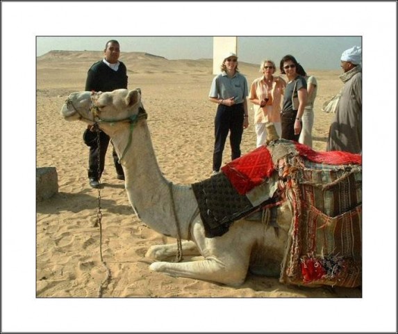 12. egipt - safari s kamelami - foto