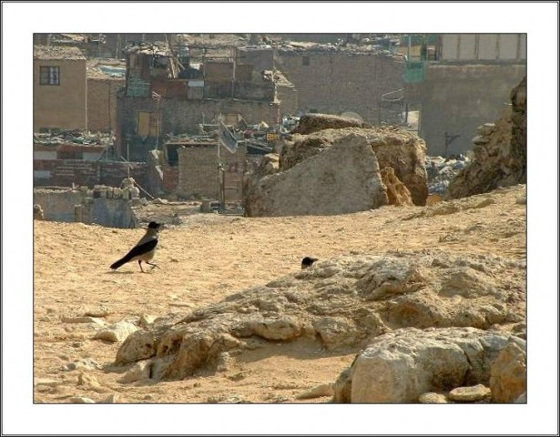 13. egipt - giza (al-jiza) - foto