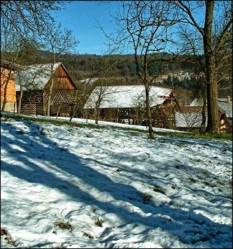 Zimske - foto