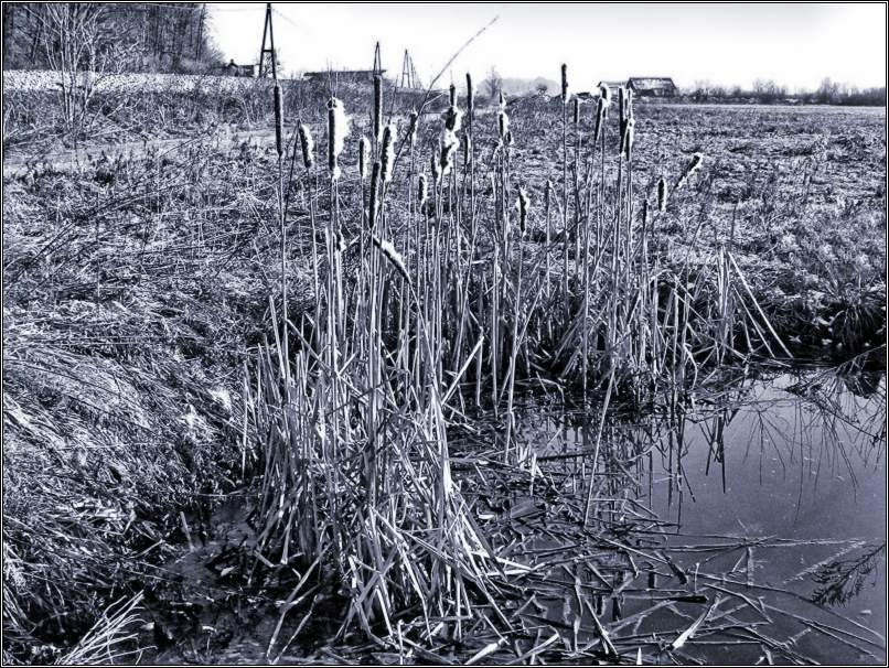 Februar - foto povečava