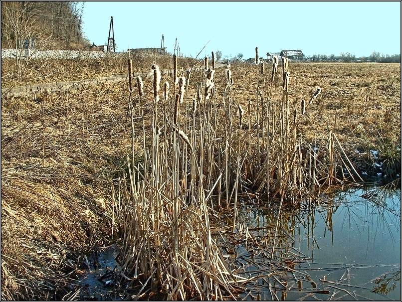 Februar - foto povečava