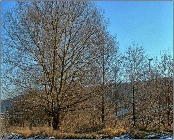 Februar - foto