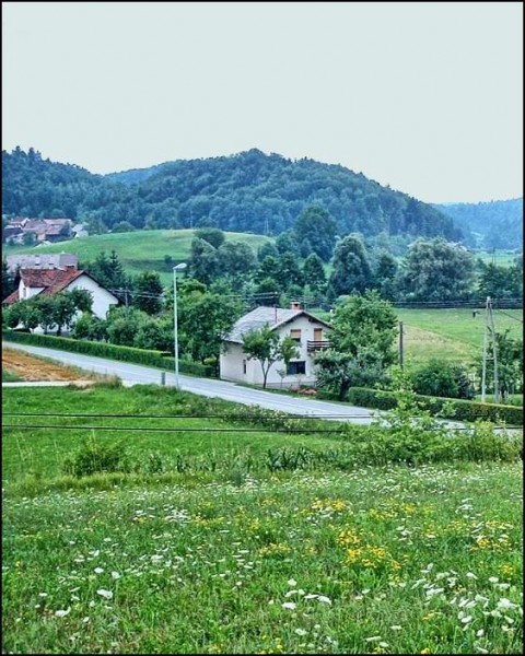 Lanišče - foto