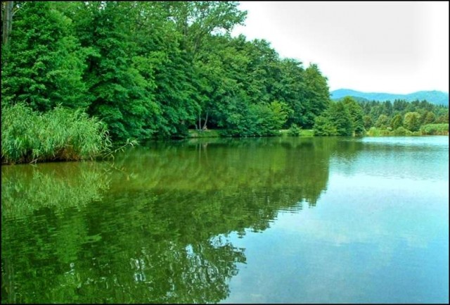 Ljubljana_koseze - foto