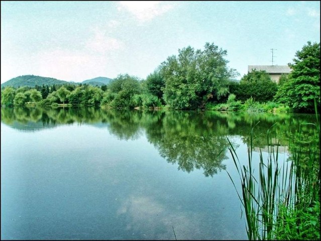 Ljubljana_koseze - foto