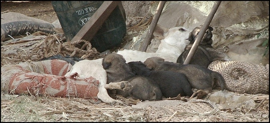 caring mom