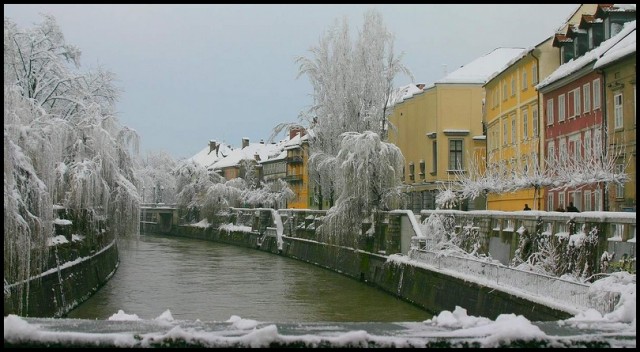 Winter in town (3)
