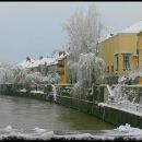 winter in town (3)