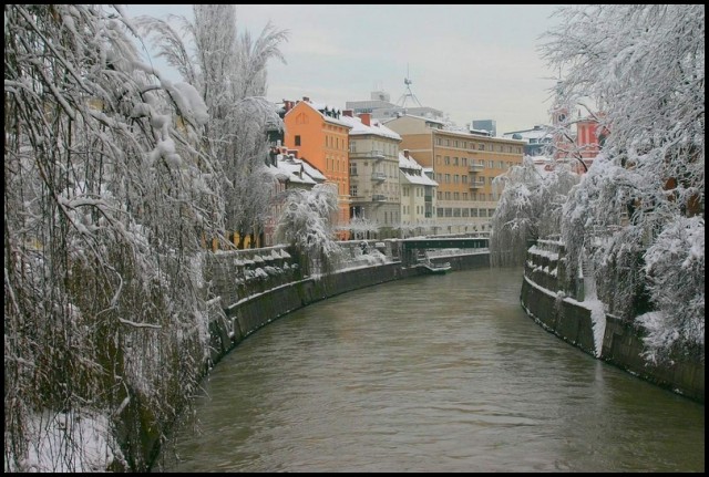 Winter in town (4)