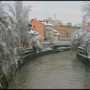 winter in town (4)