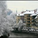 winter in town (6)