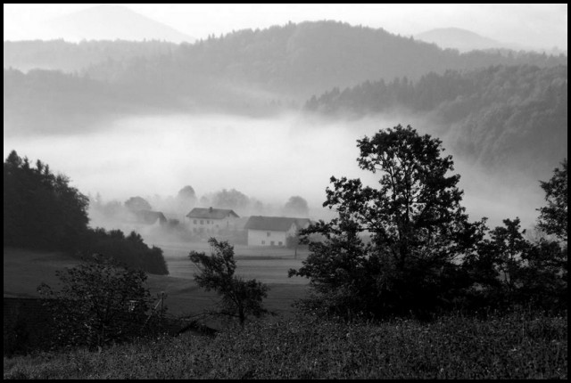 Valley and the mist