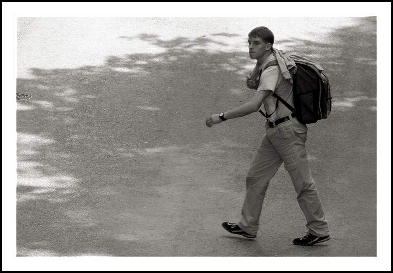 crossing the road (2)