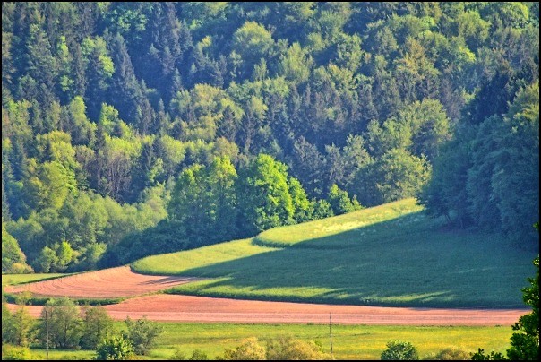 Malo mešano - foto povečava