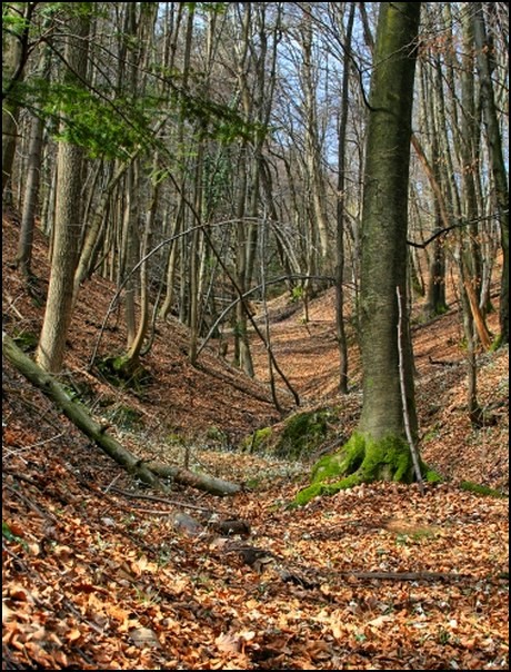 Malo mešano - foto povečava