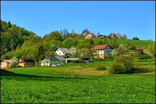 Malo mešano/4 - foto povečava