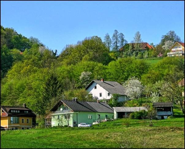 Malo mešano/4 - foto