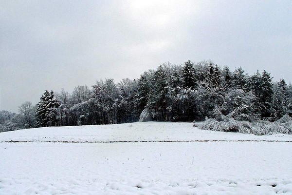 škofljica pozimi - foto povečava