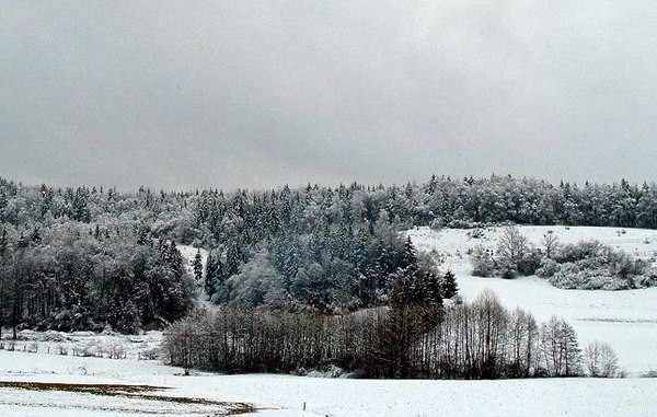 škofljica pozimi - foto