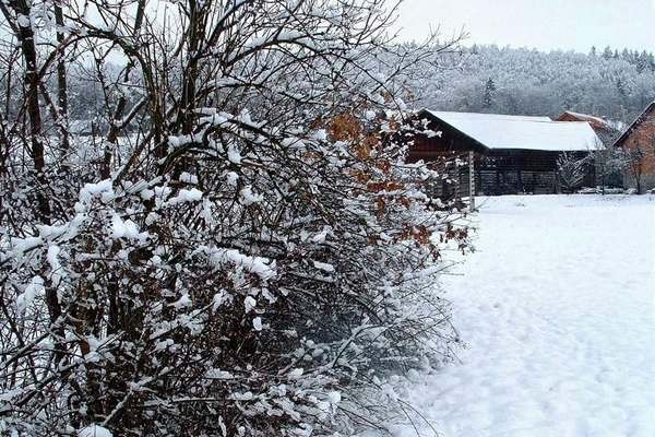 škofljica pozimi - foto