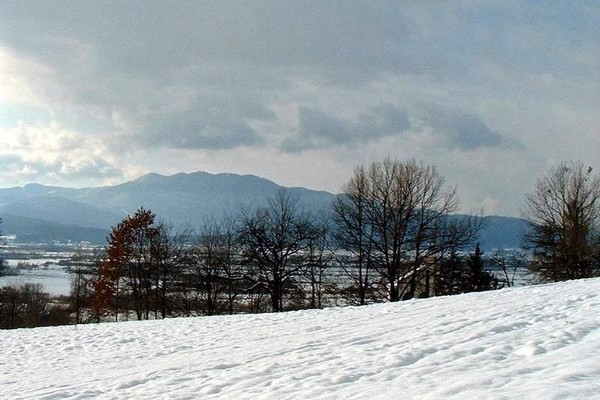 škofljica pozimi - foto povečava