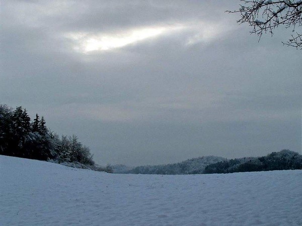 škofljica pozimi - foto