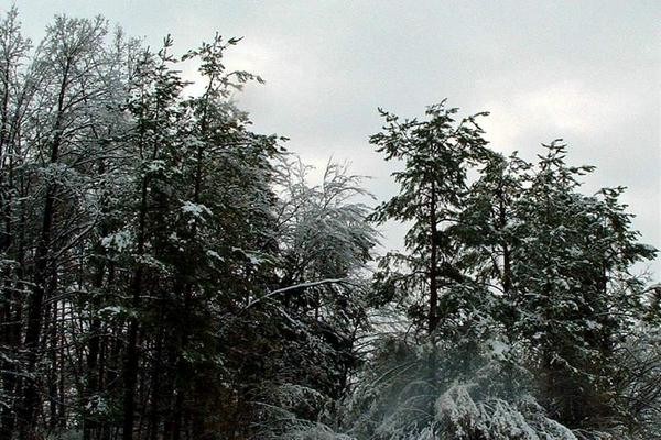 škofljica pozimi - foto