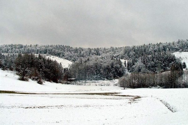 škofljica pozimi/2 - foto