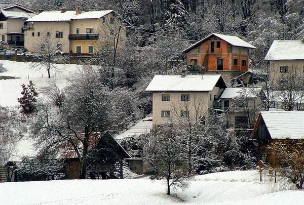 škofljica pozimi/2 - foto