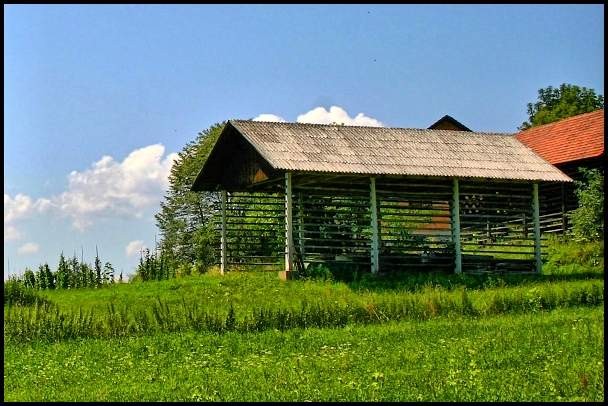 Na vrtu - foto