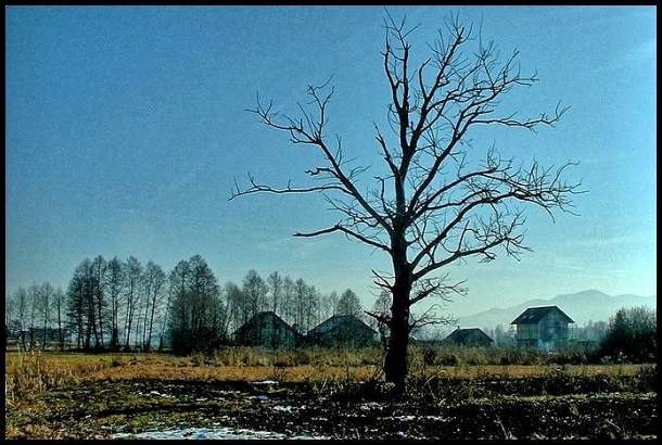 Slikce od tu in tam - foto povečava