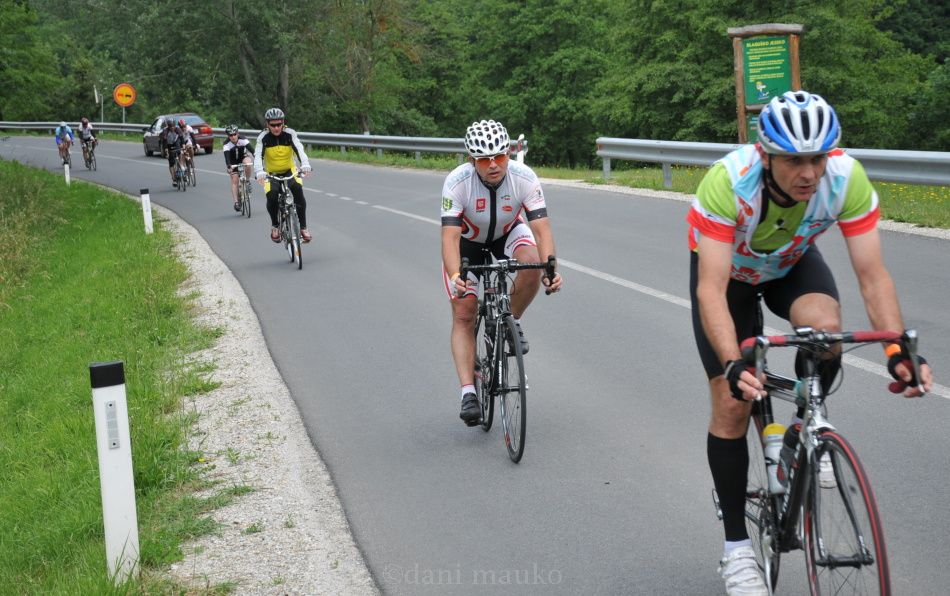 TRI SRCA 2014 DMAUKO - foto povečava