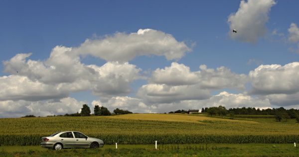 BIOTERME 2012 -DMAUKO - foto