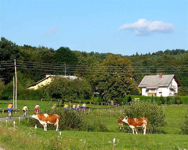 Skupinska vožnja - foto