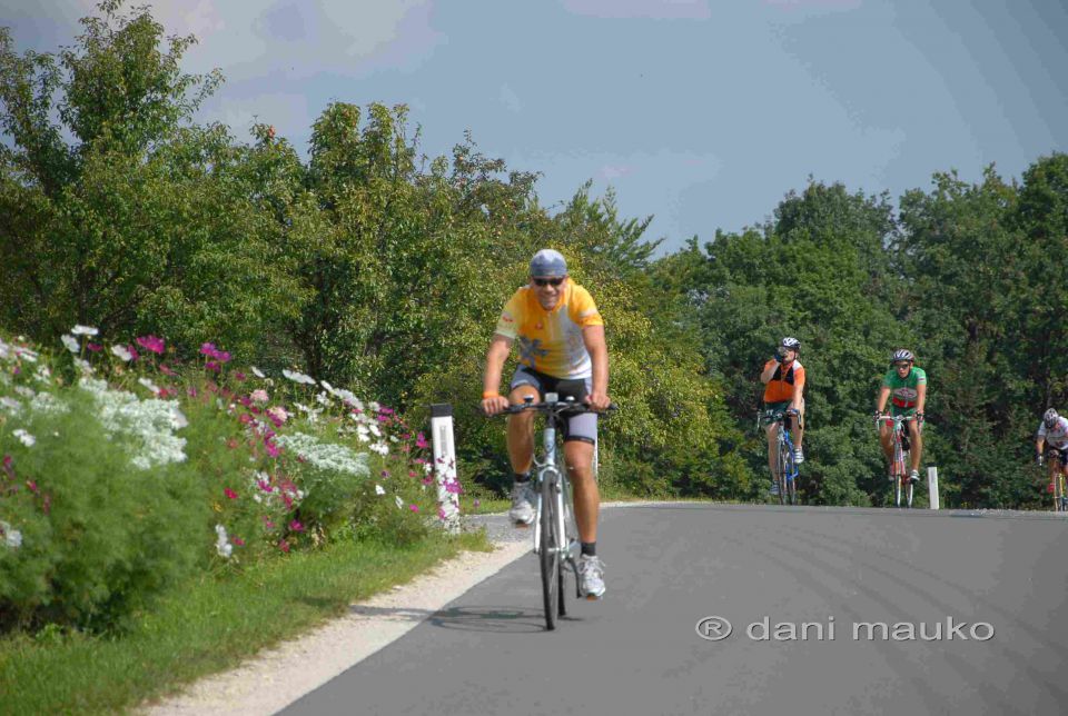 Tri srca 2010 -Dmauko - foto povečava